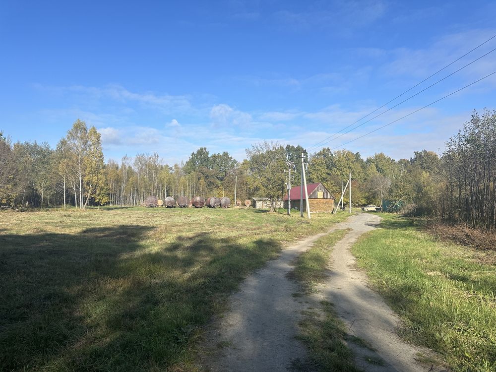 Виробництво деревного вугілля