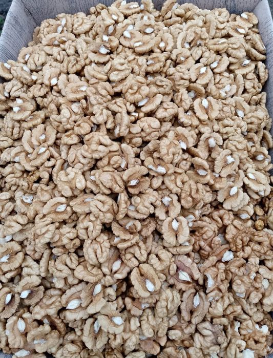 Грецький (Волоський) горіх метелик