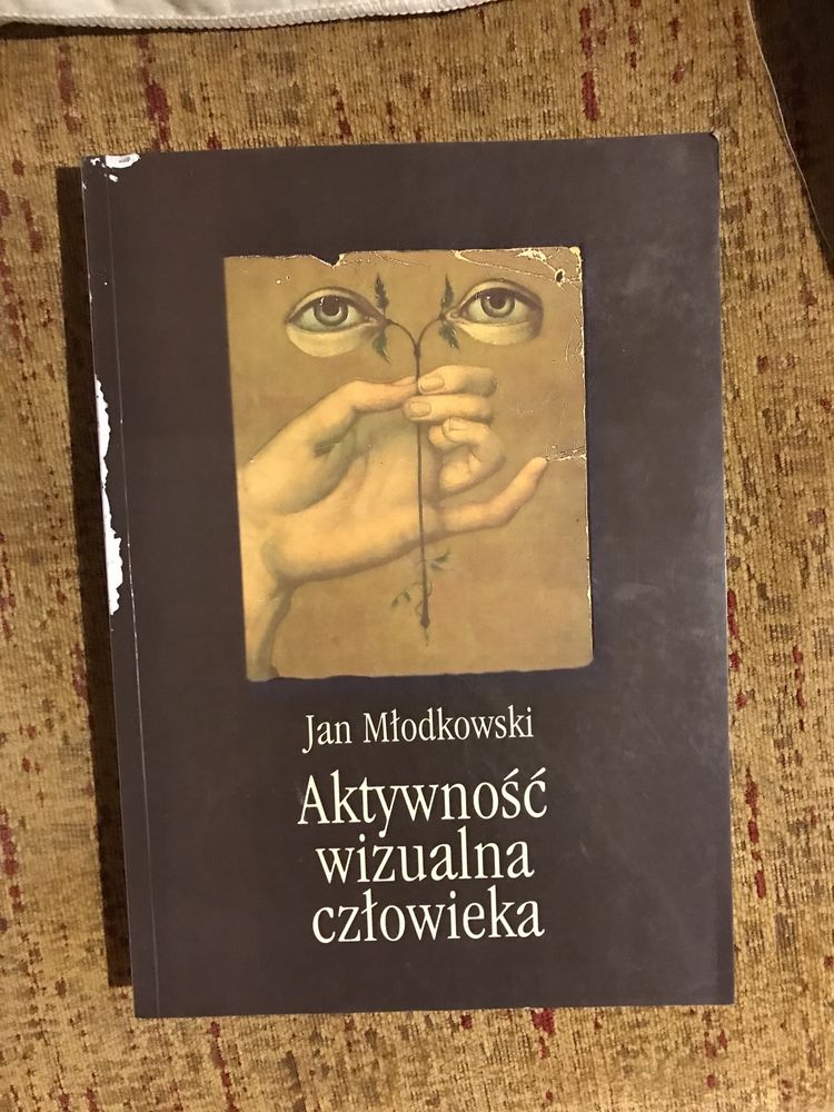 Aktywność wizualna człowieka Jan Młodkowski