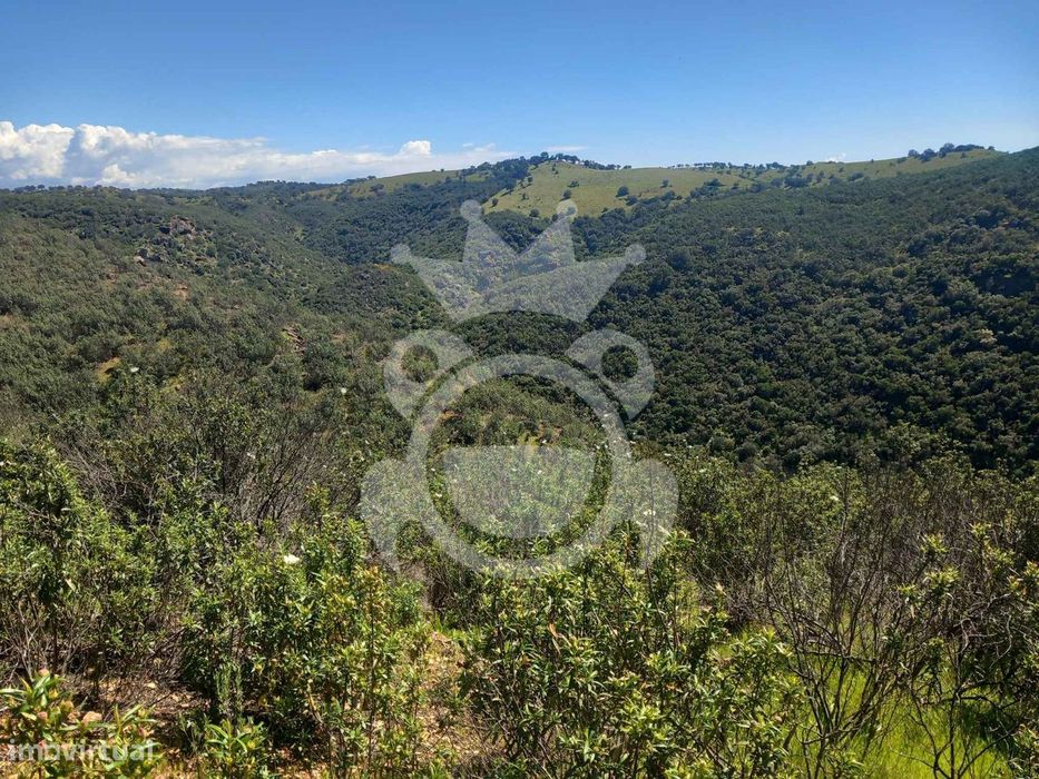 Terreno Rústico - 6.25ha