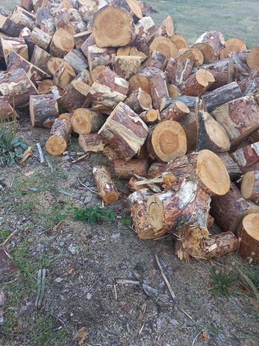 Drewno opałowe  sosna