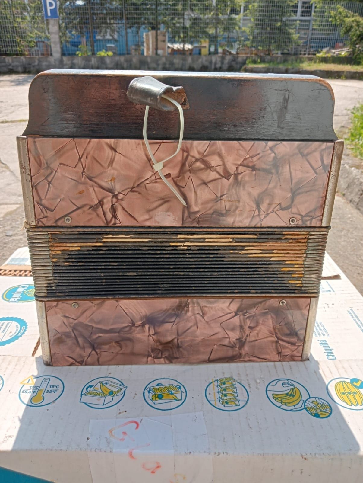 Rzadki akordeon HOHNER