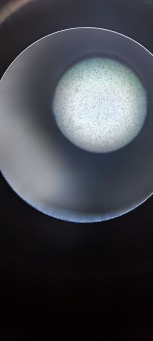 Тетраселміс Tetraselmis. Наннохлоропсис Nannochloropsis. Фітопланктон.