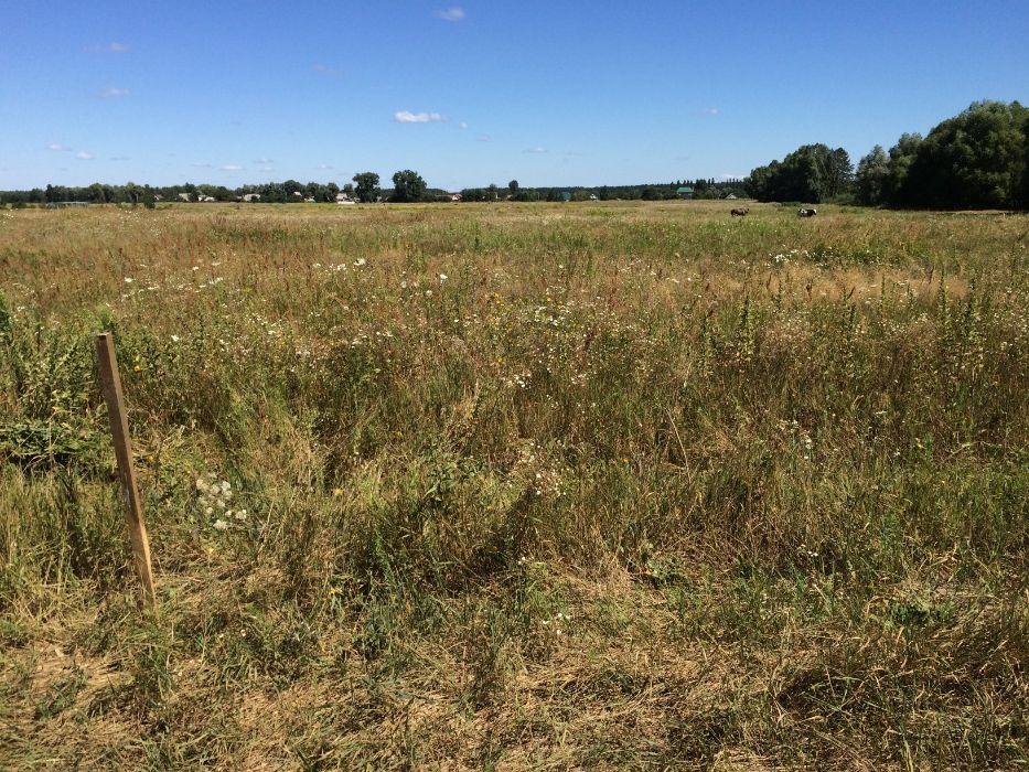 Земельна ділянка в с. Микуличі, Київська область