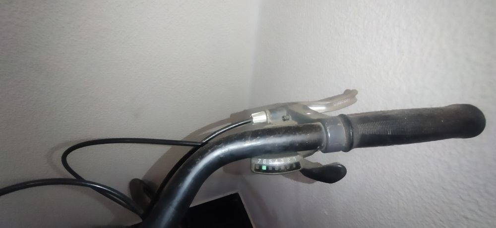 Bicicleta Pasteleira holandesa