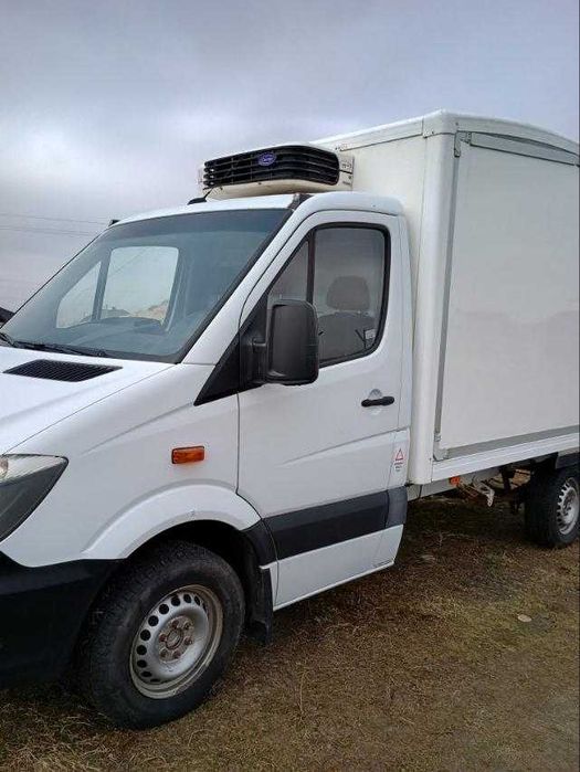 Спрінтер реф 2015р