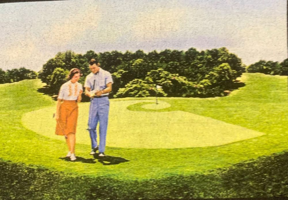 Футболка carhartt sk8