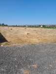 Fardo de Palha 2025