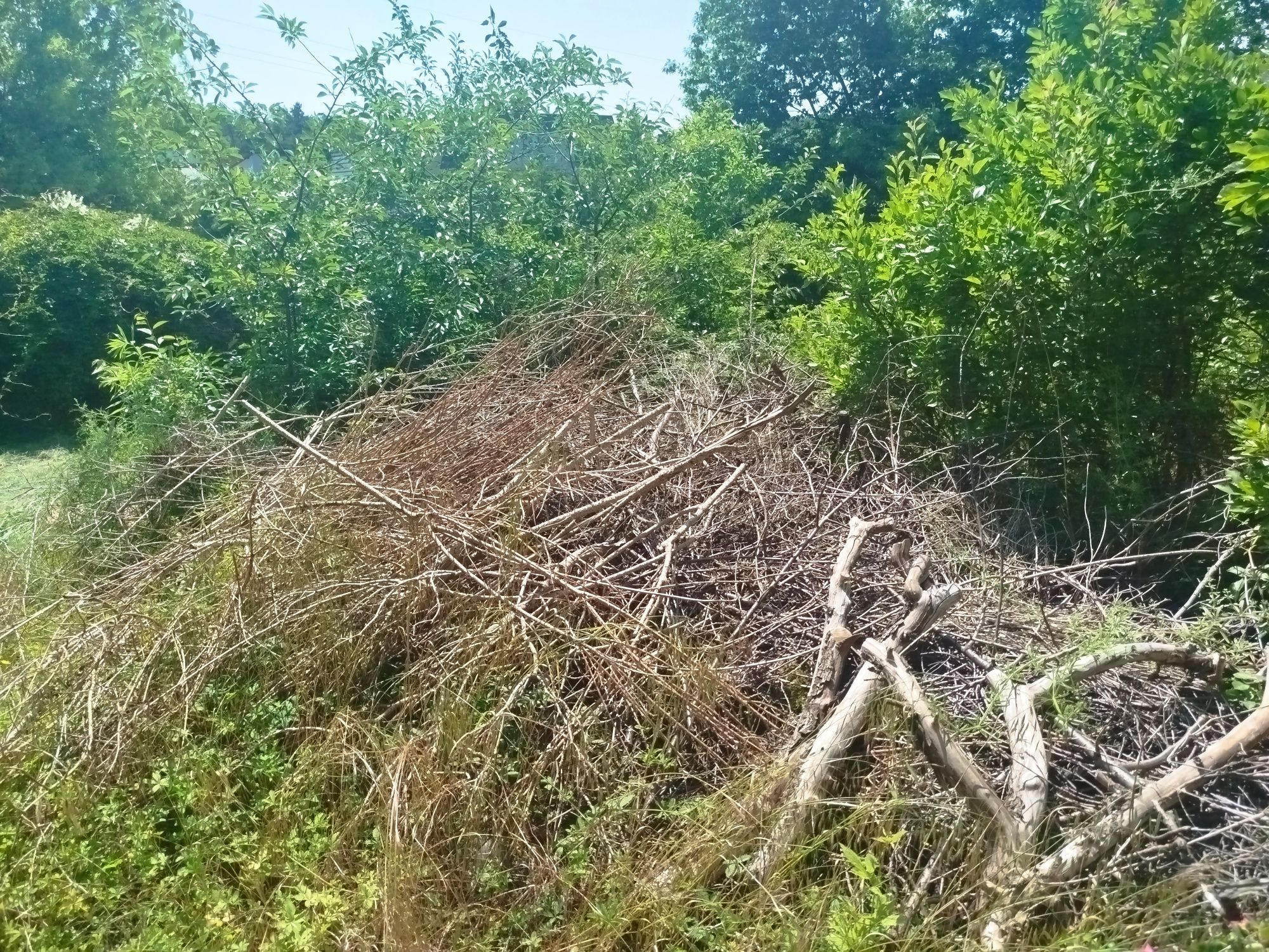 Oddam za darmo wszystko co widoczne na zdjęciach, komórka do rozbiórki