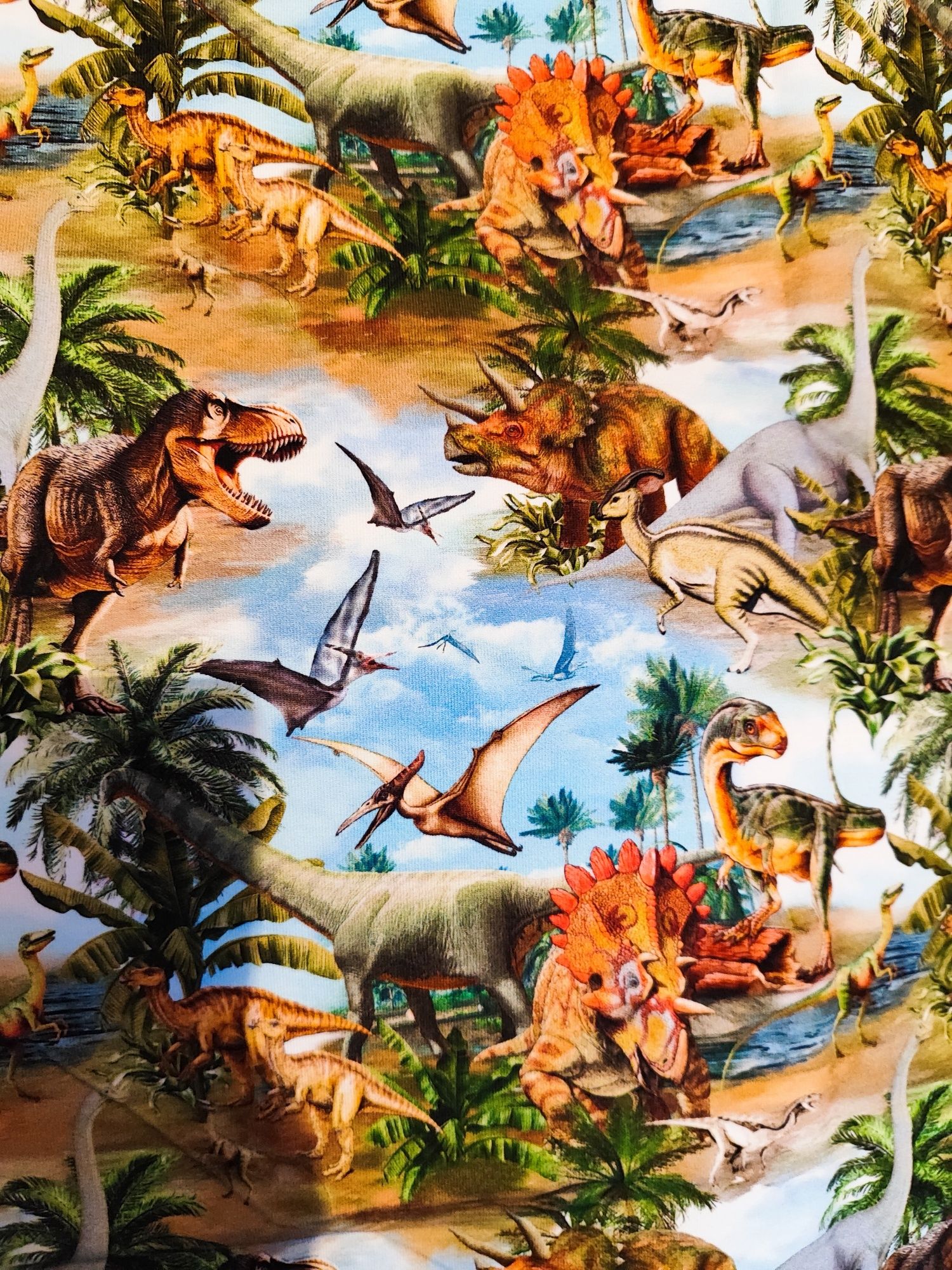 Zestaw dresówek dinozaury całość.