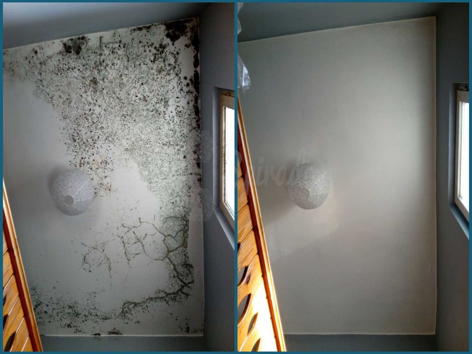 Usuwanie pleśni | Odgrzybianie ścian | Pomiar wilgotności | Termowizja