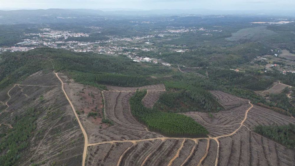 Oportunidade! Terreno Legalizado com Potencial de Construção – Arganil