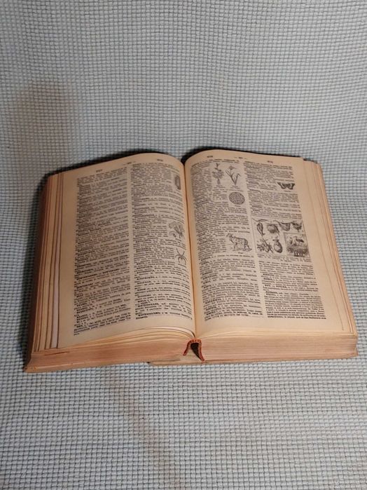 Dicionario antigo prático ilustrado