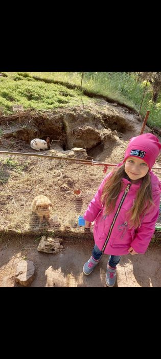 Куртка  на дівчинку демісезонна