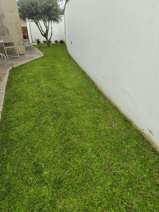 Serviços jardinagem