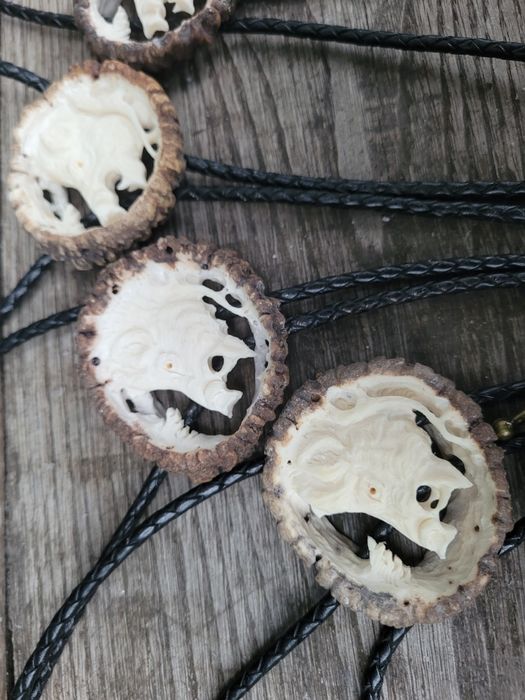 Dzik odyniec Bolo krawatnik poroze jelenia losia