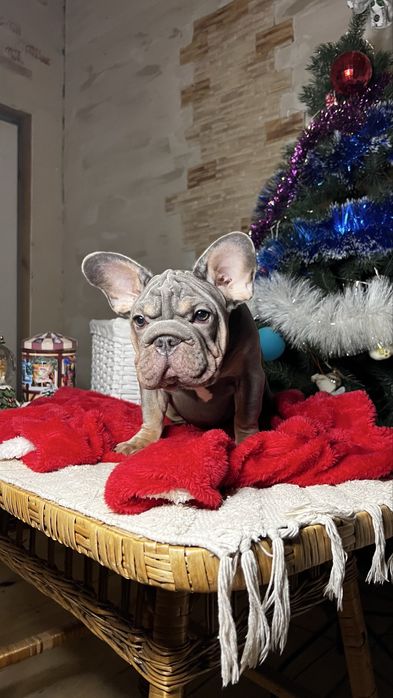 Дівчинка вельвет біг роп