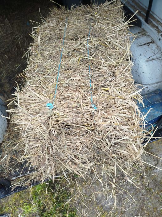 Fardos de palha possível entrega