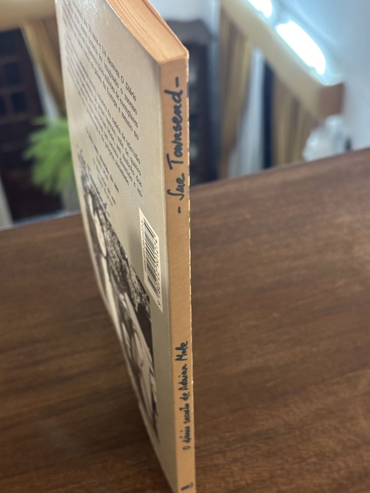 O Diário Secreto de Adrian Mole aos 13 anos e 3/4 - Sue Townsend