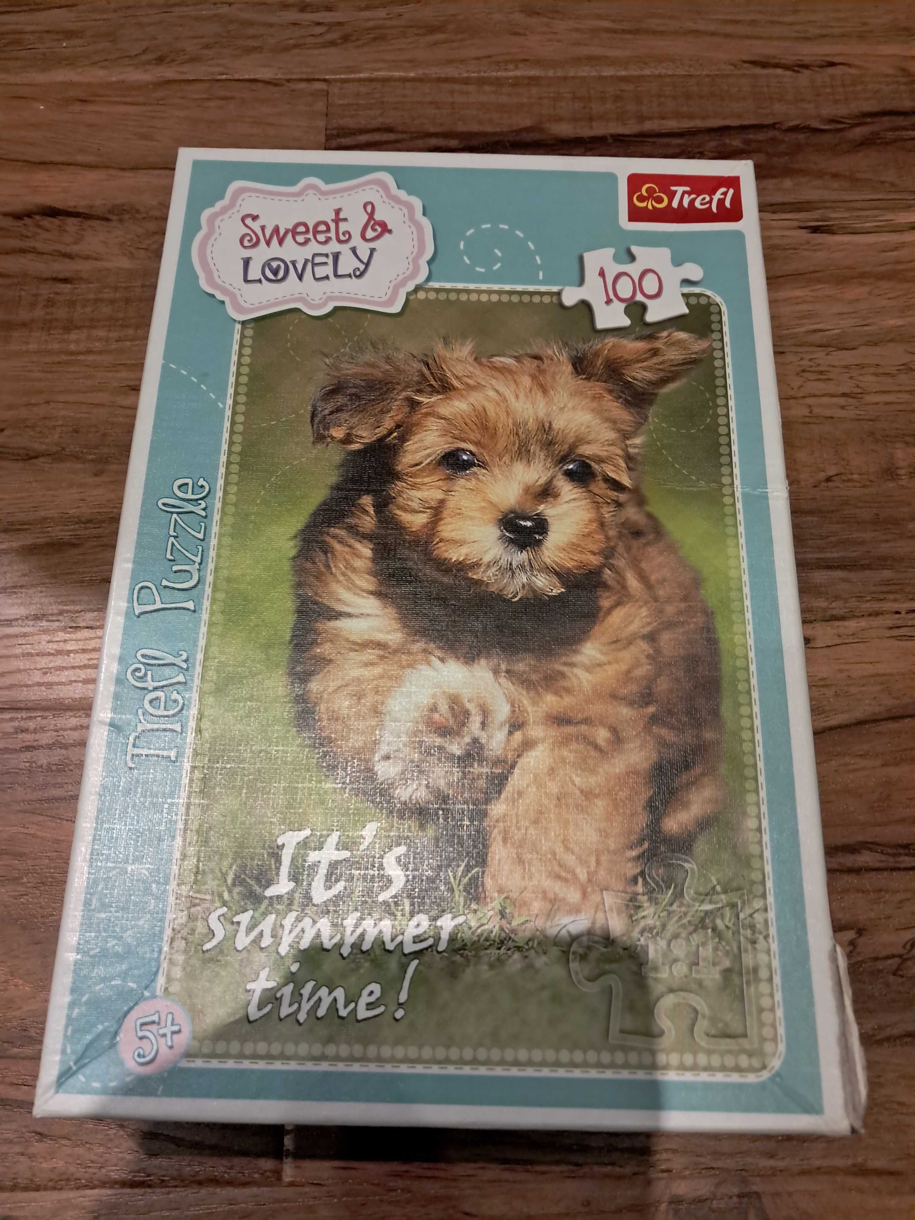 puzzle 100 elementów, stan puzzli bdb, pudełko jest uszkodzone