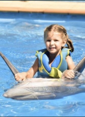 Купание с Дельфинами в дельфинарии Немо