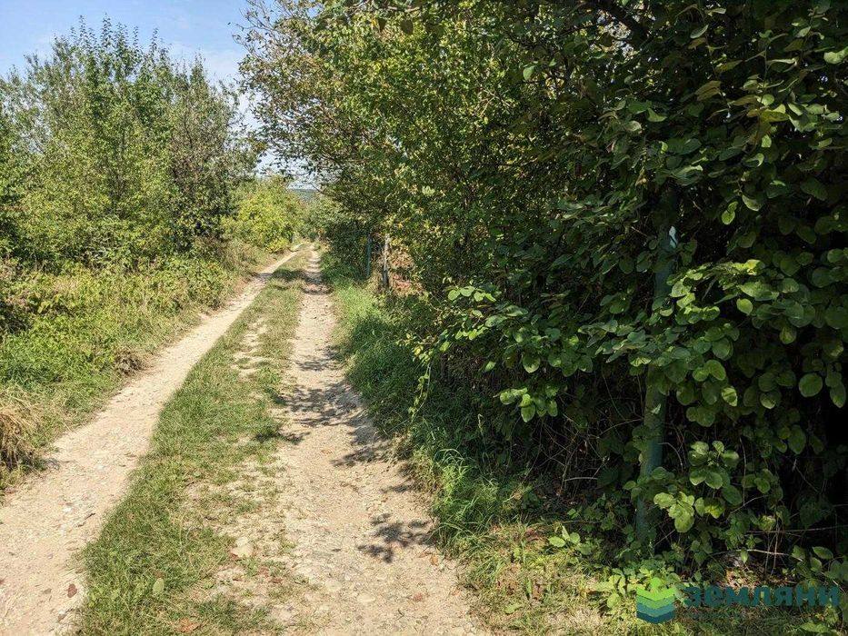 Продаж Дачі 5,01 сот в с.Вовчинець, СТ Агрохімік (5)