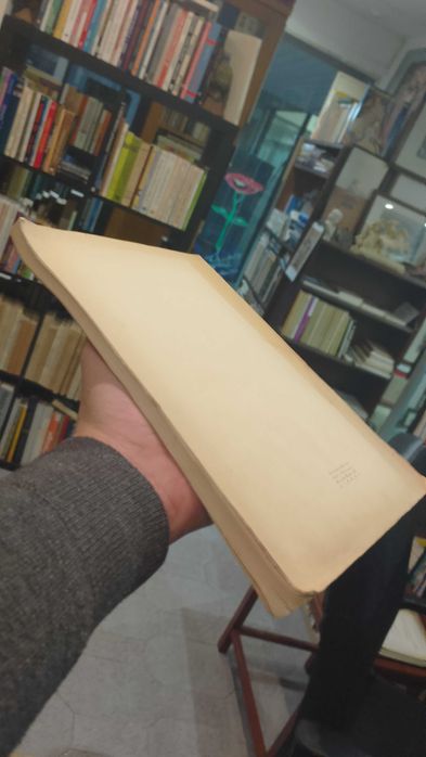 III Estudos Psicotécnicos: Nível Intelectual de tribos de Moçambique