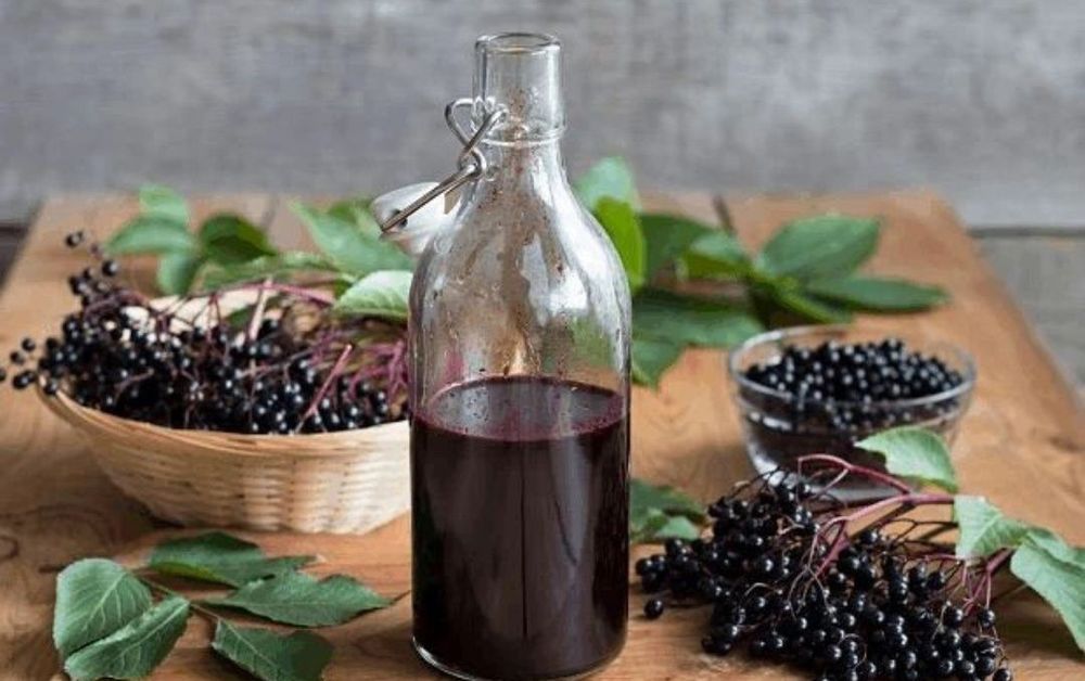 Syrop z bzu czarnego 330 ml od Zielarza