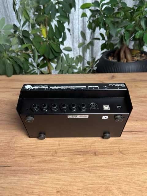 Moog Minitaur – desktopowy  analogowy syntezator basowy