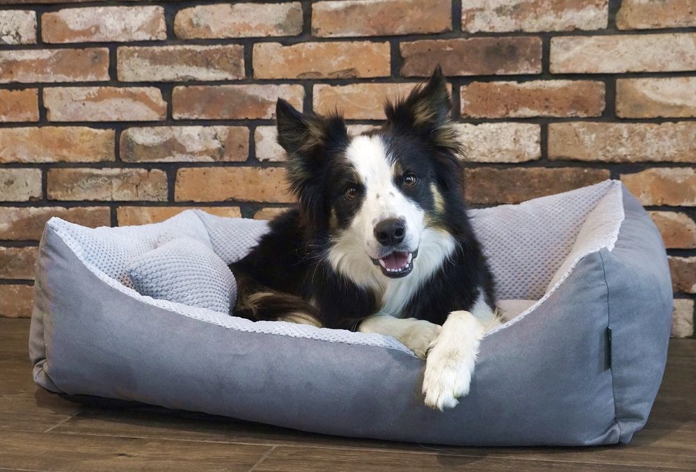 Przytulne legowisko dla psa TEO (100x80 cm, Szary)