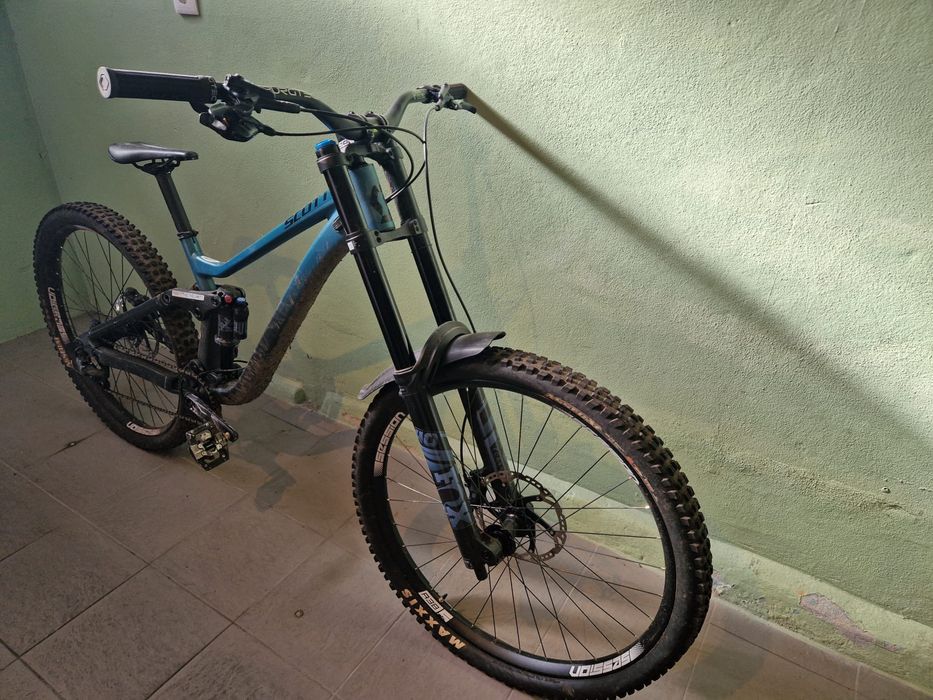 Scott gambler 2024