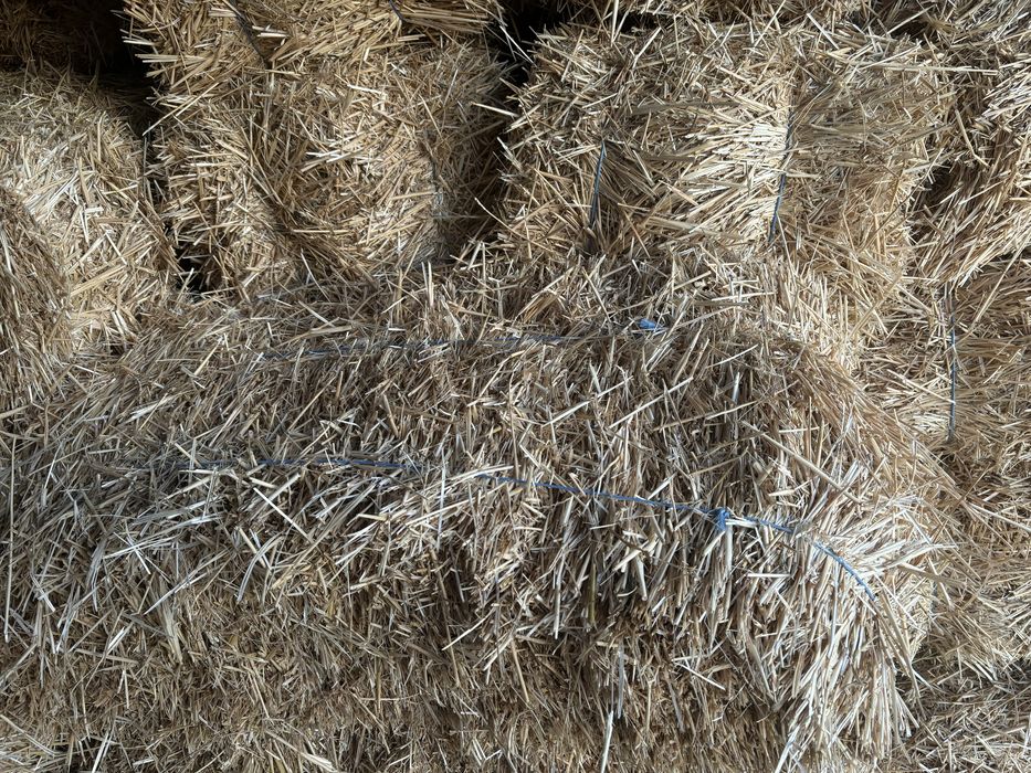 Солома в тюках,ячневая и пшеничная