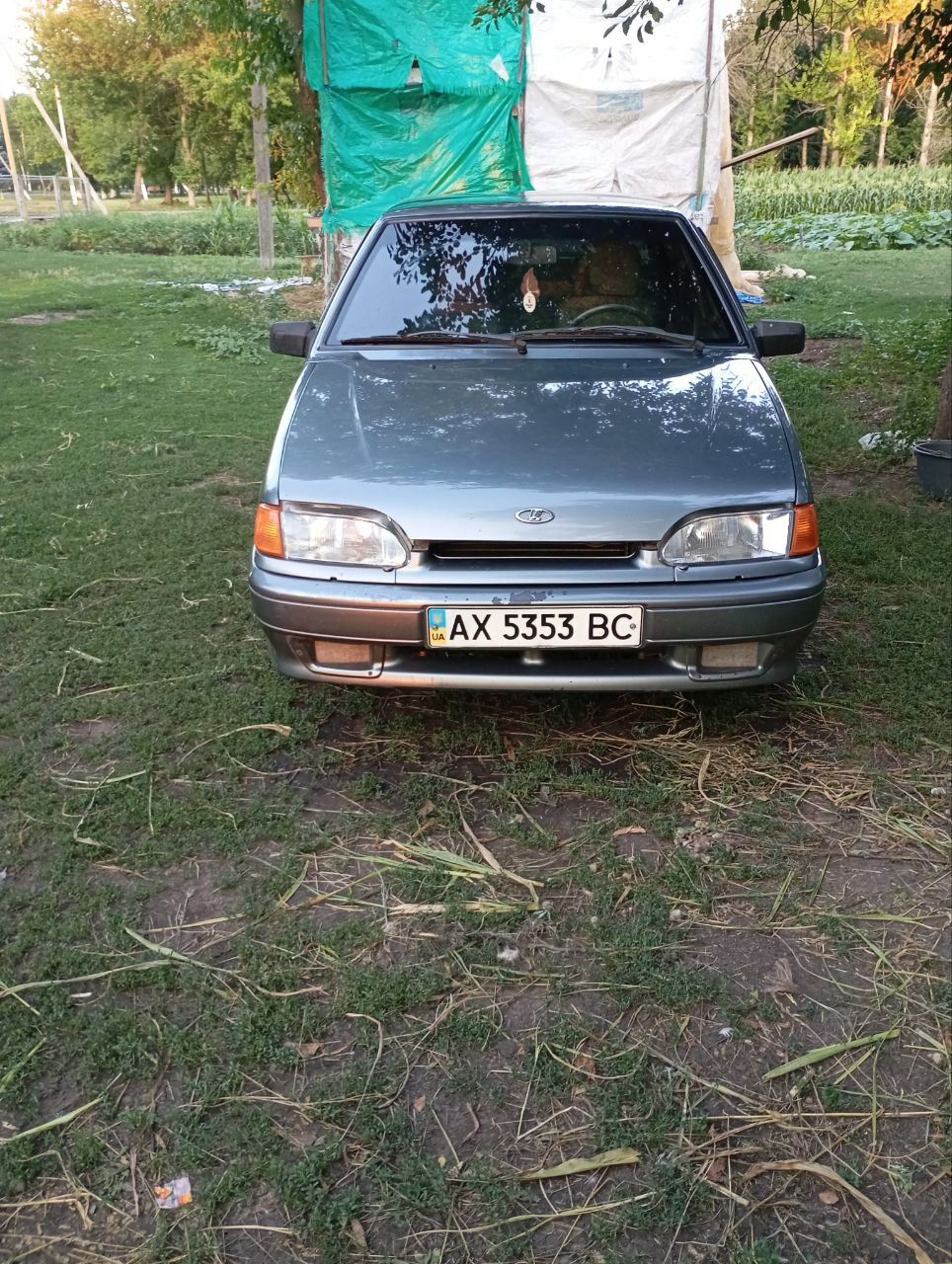Серая Пятнашка 2007