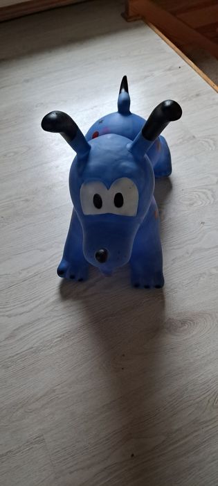 Sprzedam pieska skoczka