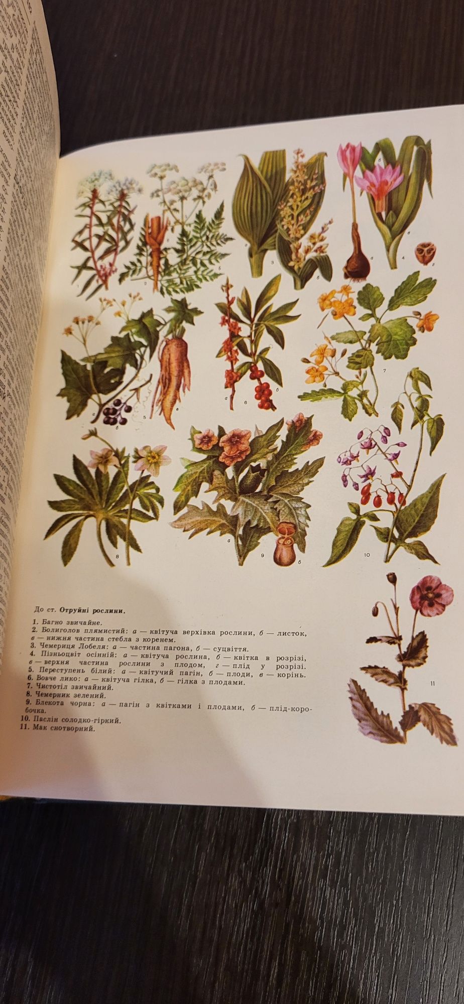 Біологічний словник К.М.Ситника