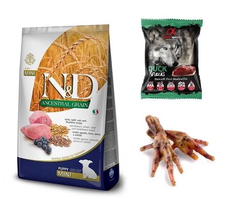 Farmina Dog N&D Ancestral Grain Mini Puppy lamb 7 kg