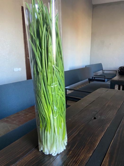 Зелена цибуля перо