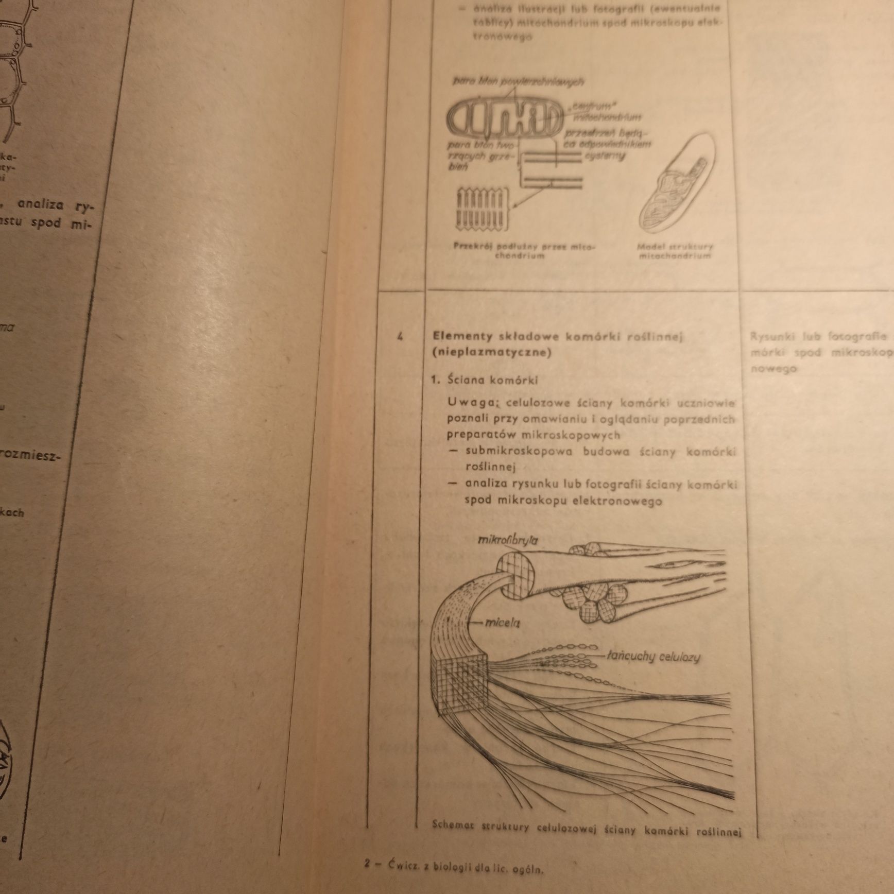 Ćwiczenia z biologii B. Bartecka