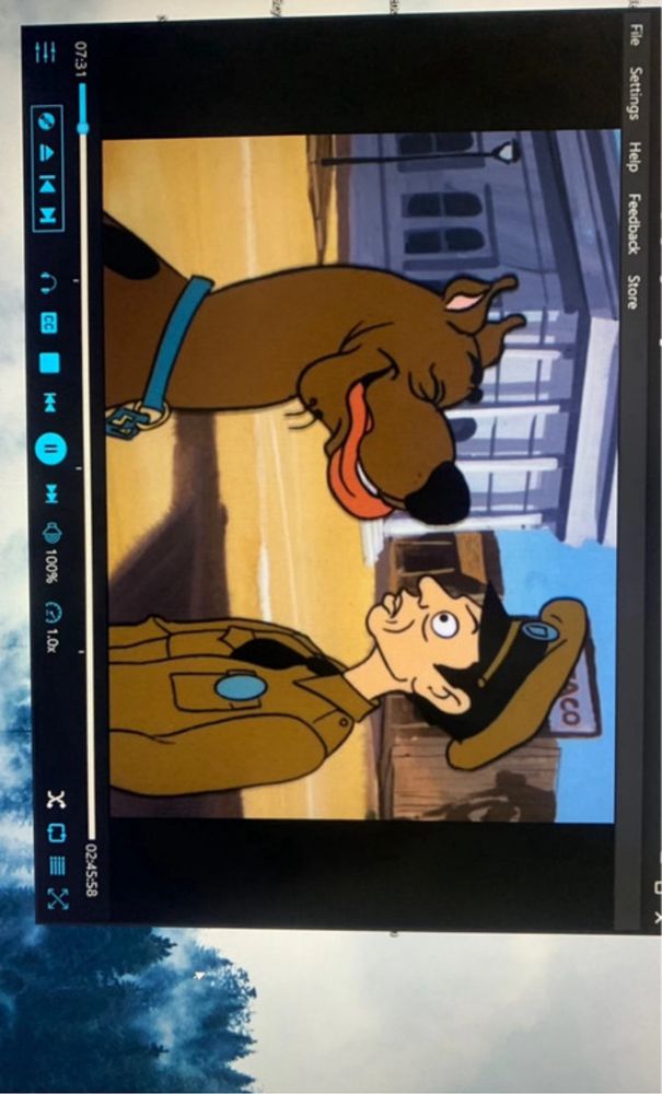 Bajki Scooby-doo DVD