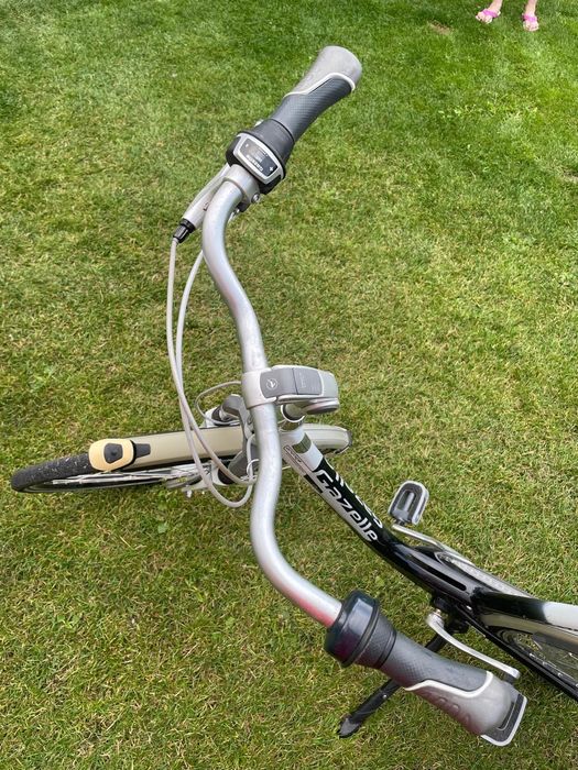 Rower Gazelle Orange Plus