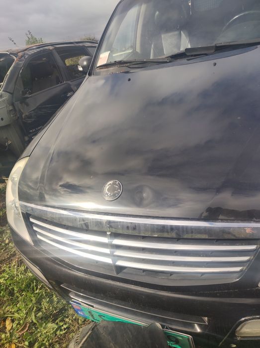Решітка решотка гриль радіатора ssangyong rexton 1 ,2 рекстон сангйонг