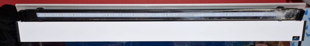 Akwarium z osprzętem