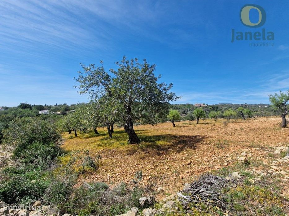 Terreno Rústico com vista mar