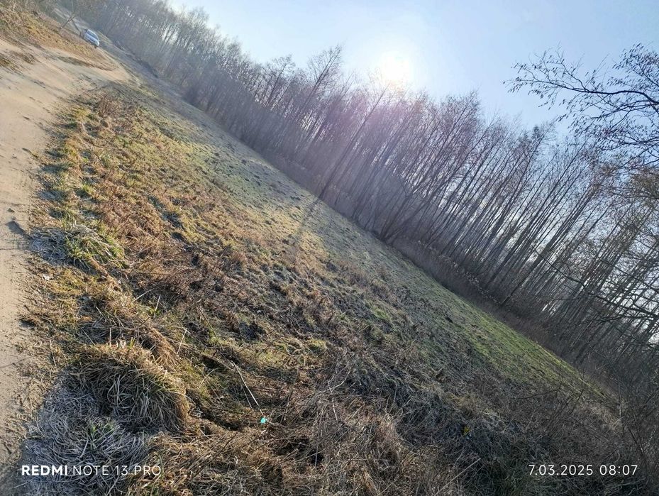 Działka 0,50 ha w miejscowości Łąkie, gm. Skępe