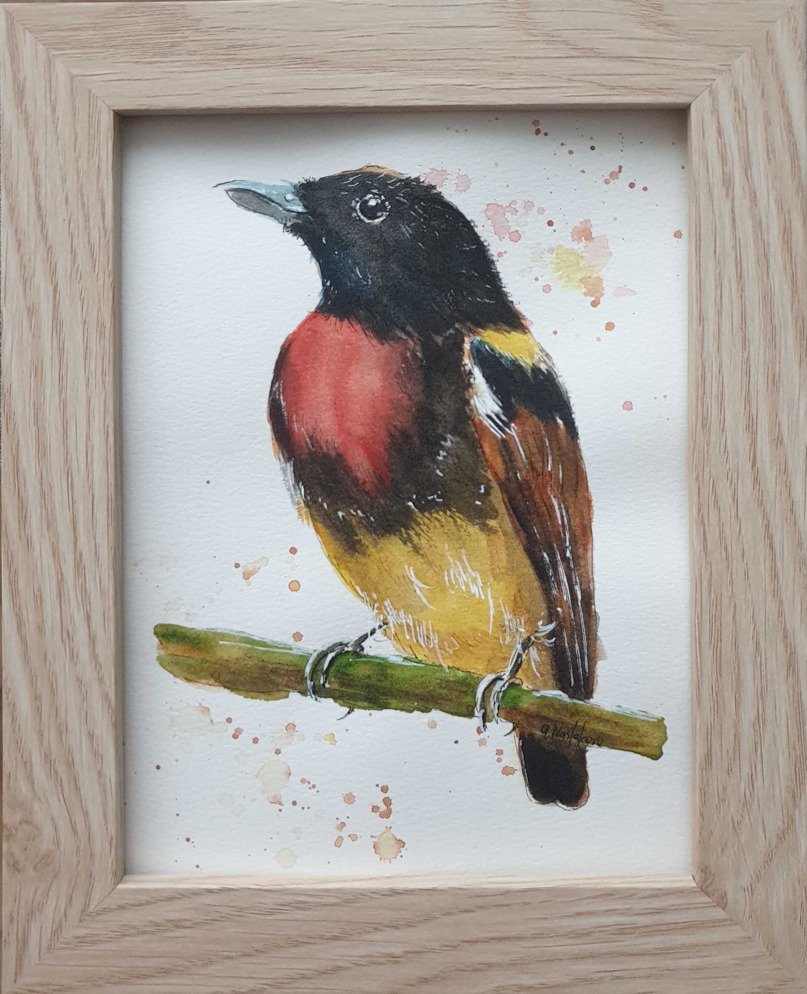 Akwarela ręcznie malowana ptak ptaki +ramka