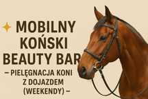 Mobilny koński beauty bar