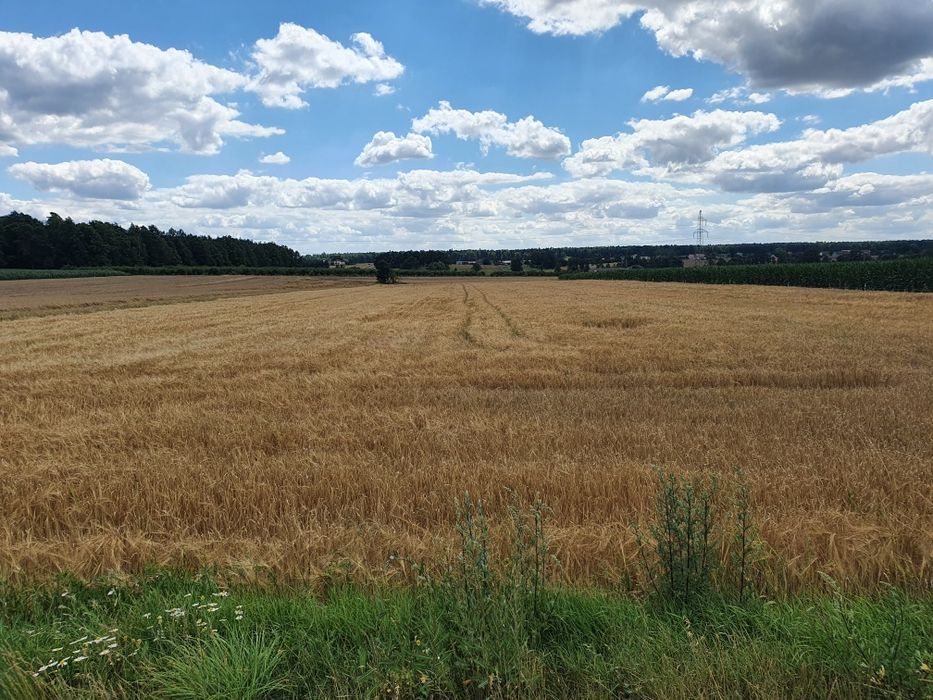 Działka Budowlana Adamów