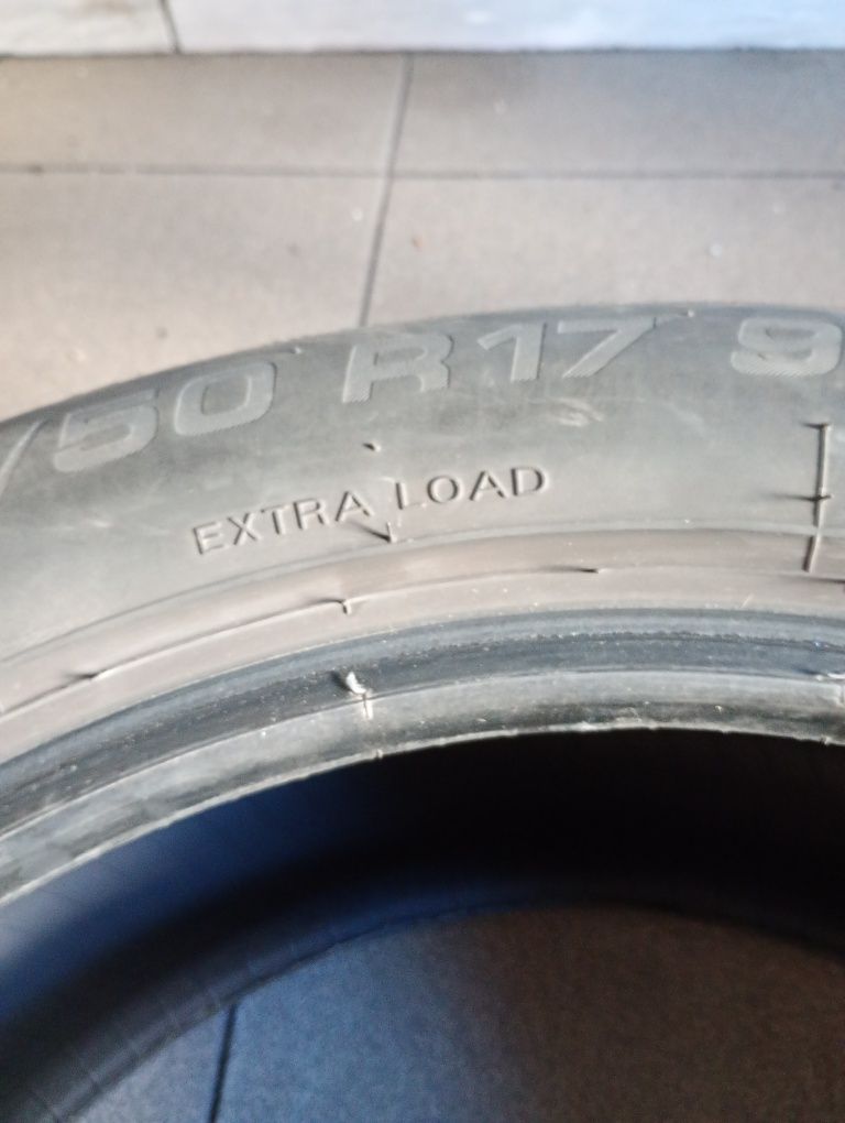 2 Opony letnie Riken Ultra High Performance 225/50/17 98V Extra Load