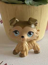 Littlest pet shop collie #853 Lps pop