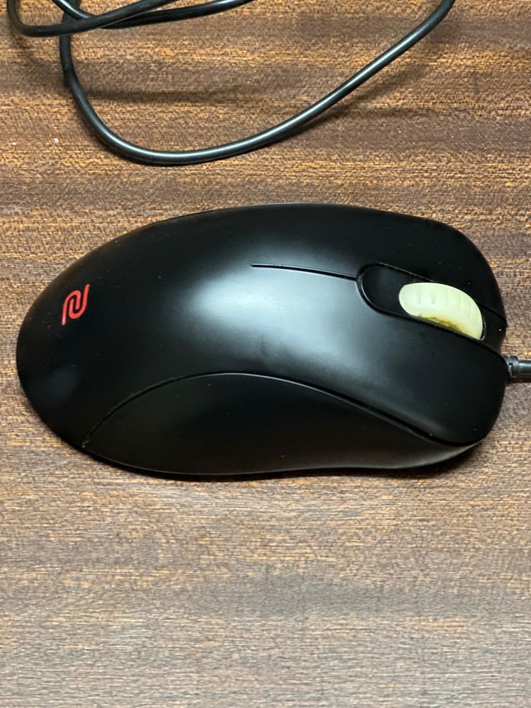 Rato zowie EC2  A + Bungie Zowie Camade